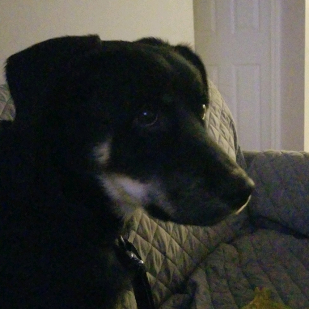 Meet your Posher, Rachelle